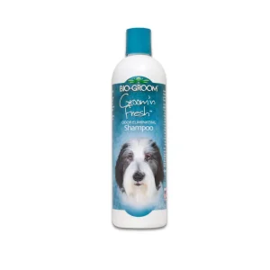 Bio-Groom Groom N Fresh Dog & Cat Shampoo, 12 oz
