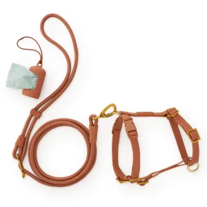 Active Everyday Harness Walk Set (XS/S), Saddle