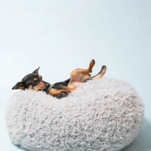 POD DOG BED