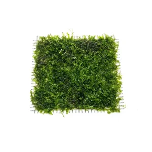 Pearl Moss on Stainless Steel