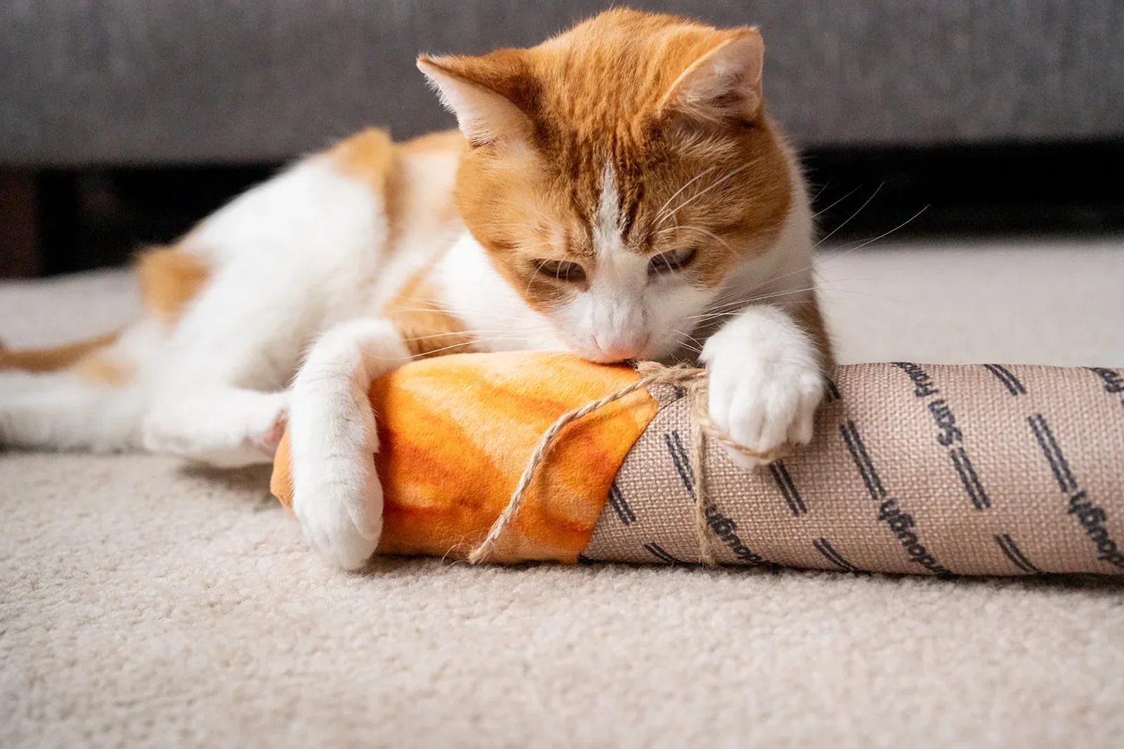 Fog City Pet x Feline Frenzy Fur-mented Loaf Kicker Toy - Image 2