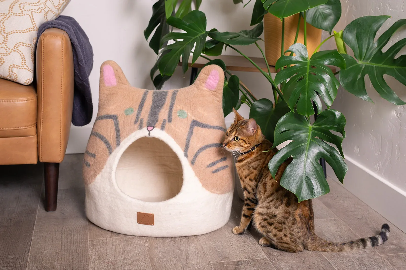 Bengal Cat Peekaboo Cat Cave - Image 2