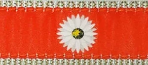 Daisy on Orange