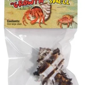 Zoo Med Laboratories Growth Hermit Crab Shells Large