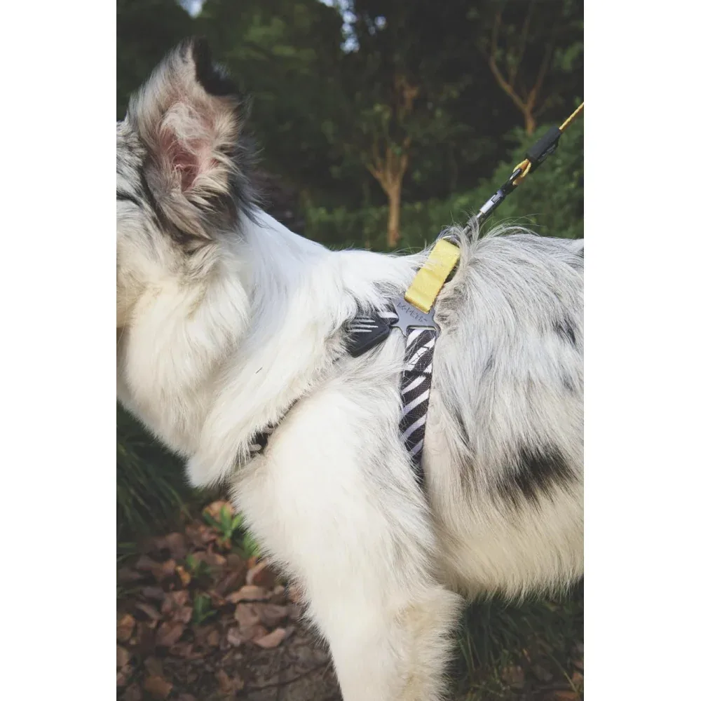 M Pets Wild Safari Harness for Dogs - Image 2