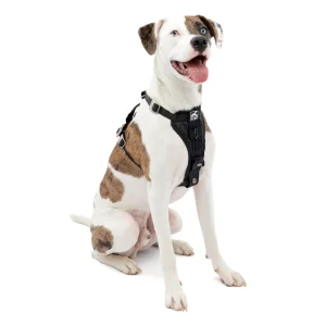 Enhanced Strength Tru-Fit Dog Car Harness
