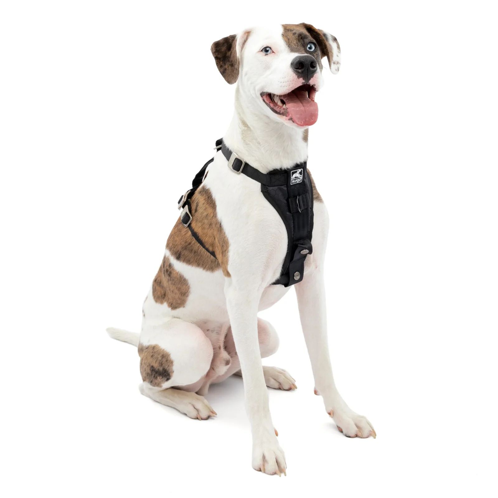 Enhanced Strength Tru-Fit Dog Car Harness