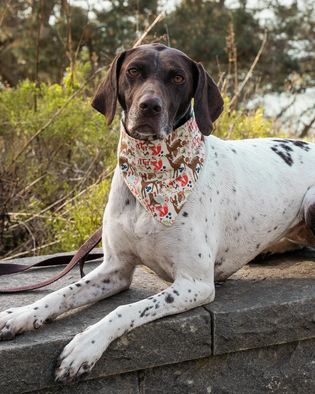 ADVENTURE BANDANA - Image 2