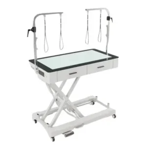 50" Dog Grooming LED Electric Table with Drawer and Caster White by Waggz