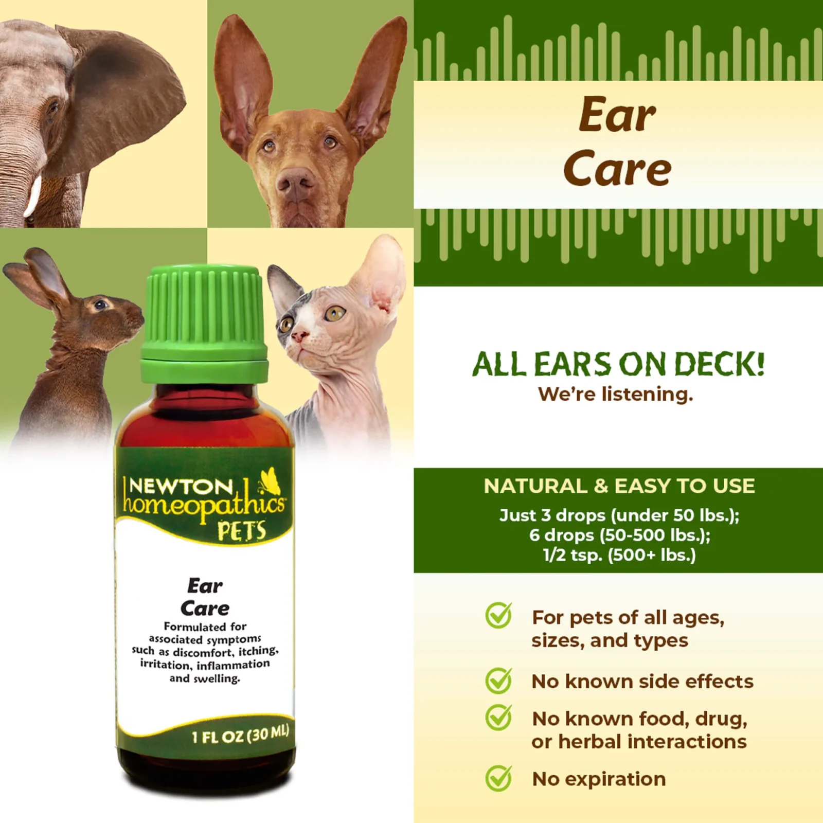 Newton Homeopathics Ear Care - Image 2