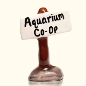 Aquarium Co-Op Decoration