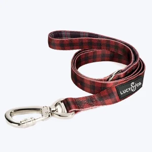 MATCHING DOG LEASH