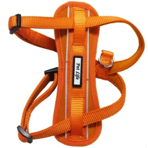 Pet Life ® 'Mountaineer' Chest Compressive Adjustable and Reflective Easy Pull Pet Dog Harness