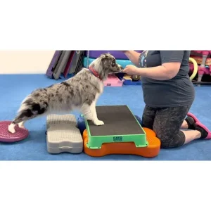 Clean Run Posture Evaluation and How it Affects Exercise and Sport Performance
