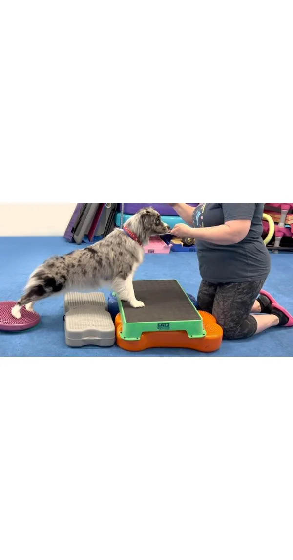 Clean Run Posture Evaluation and How it Affects Exercise and Sport Performance