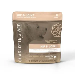 Charlotte's Webb Dog Hemp Hip and Joint Chew 6PC DSP - Case of 6