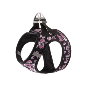 Truelove Floral Harness for Small & Medium Dogs (Black)
