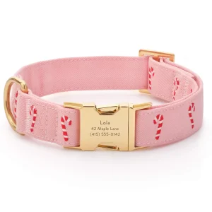 Blush Pink Candy Canes Embroidered Dog Collar