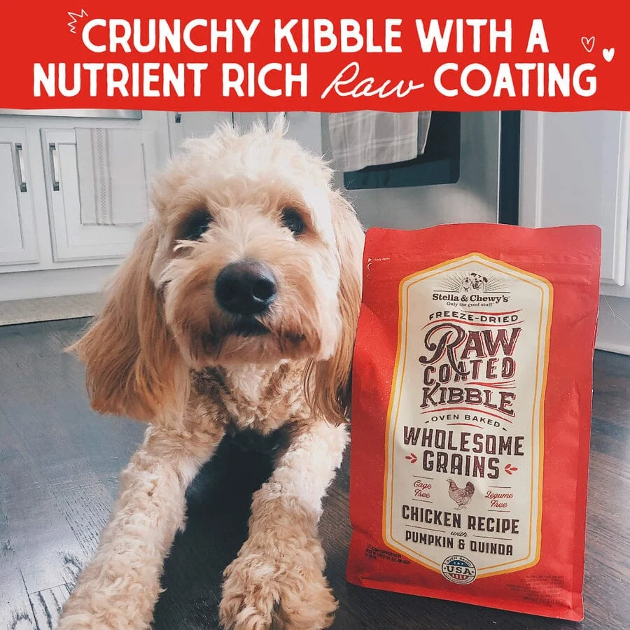 Stella & Chewy's Raw Coated Wholesome Chicken Dry Dog Food - 22 lbs - Image 2