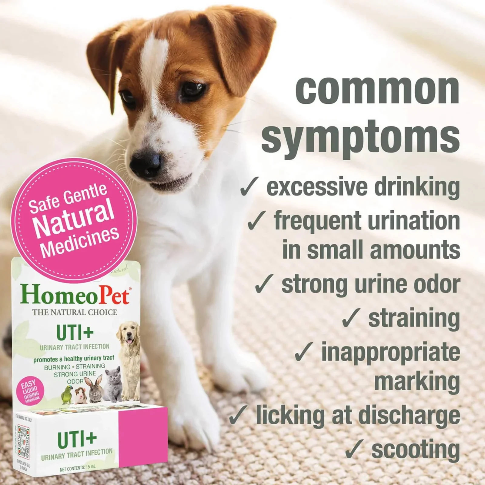 HomeoPet UTI+ Homeopathic Urinary Tract Support Drops for Dogs & Cats - Image 2