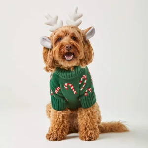 Evergreen Candy Canes Dog Sweater