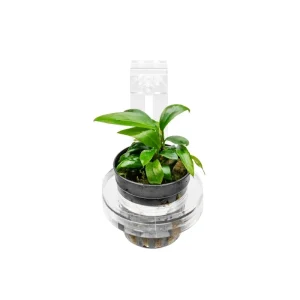 UNS Hydro Pot Holder