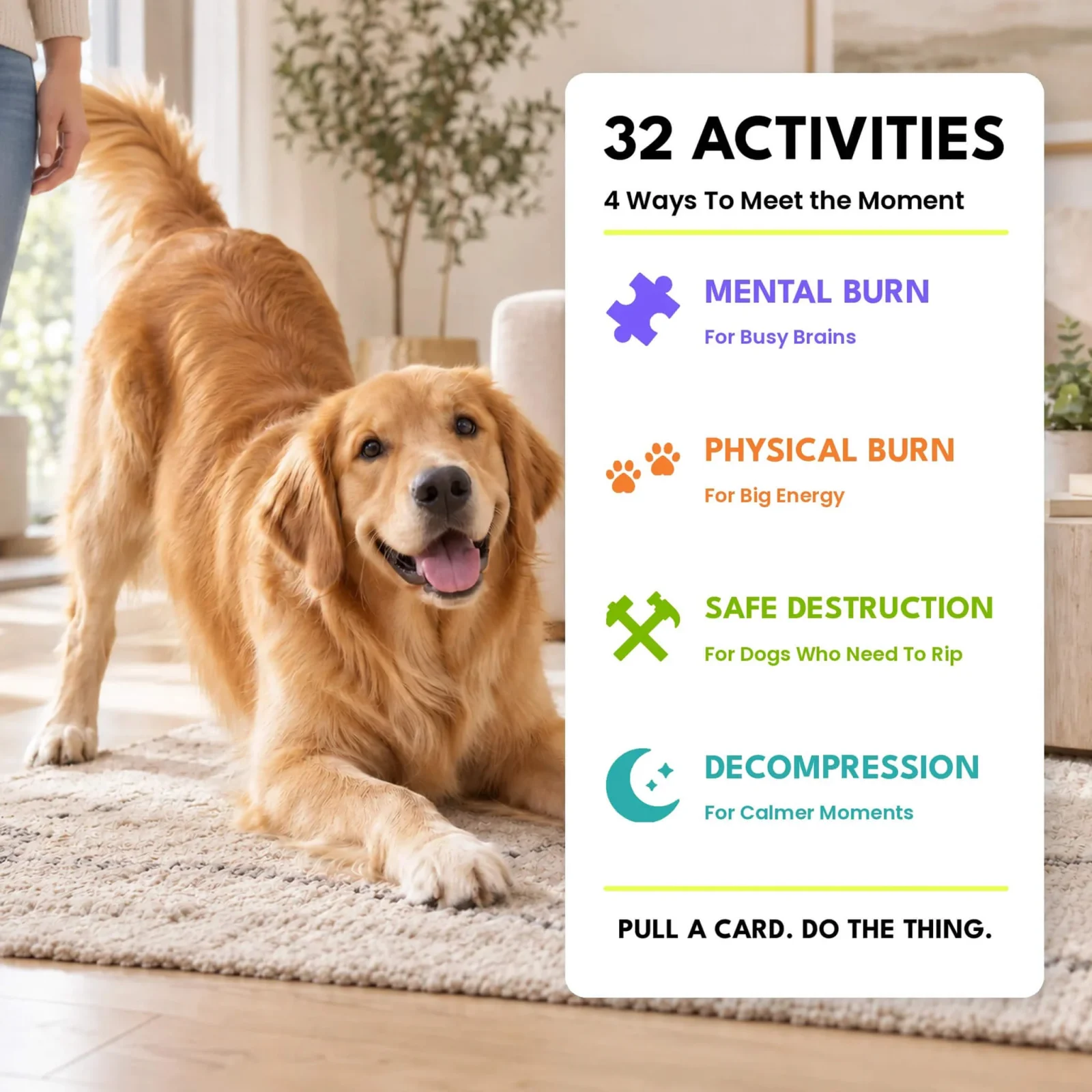 Sniffworthy Your Dog Is Bored Activity Card Pack - Image 2