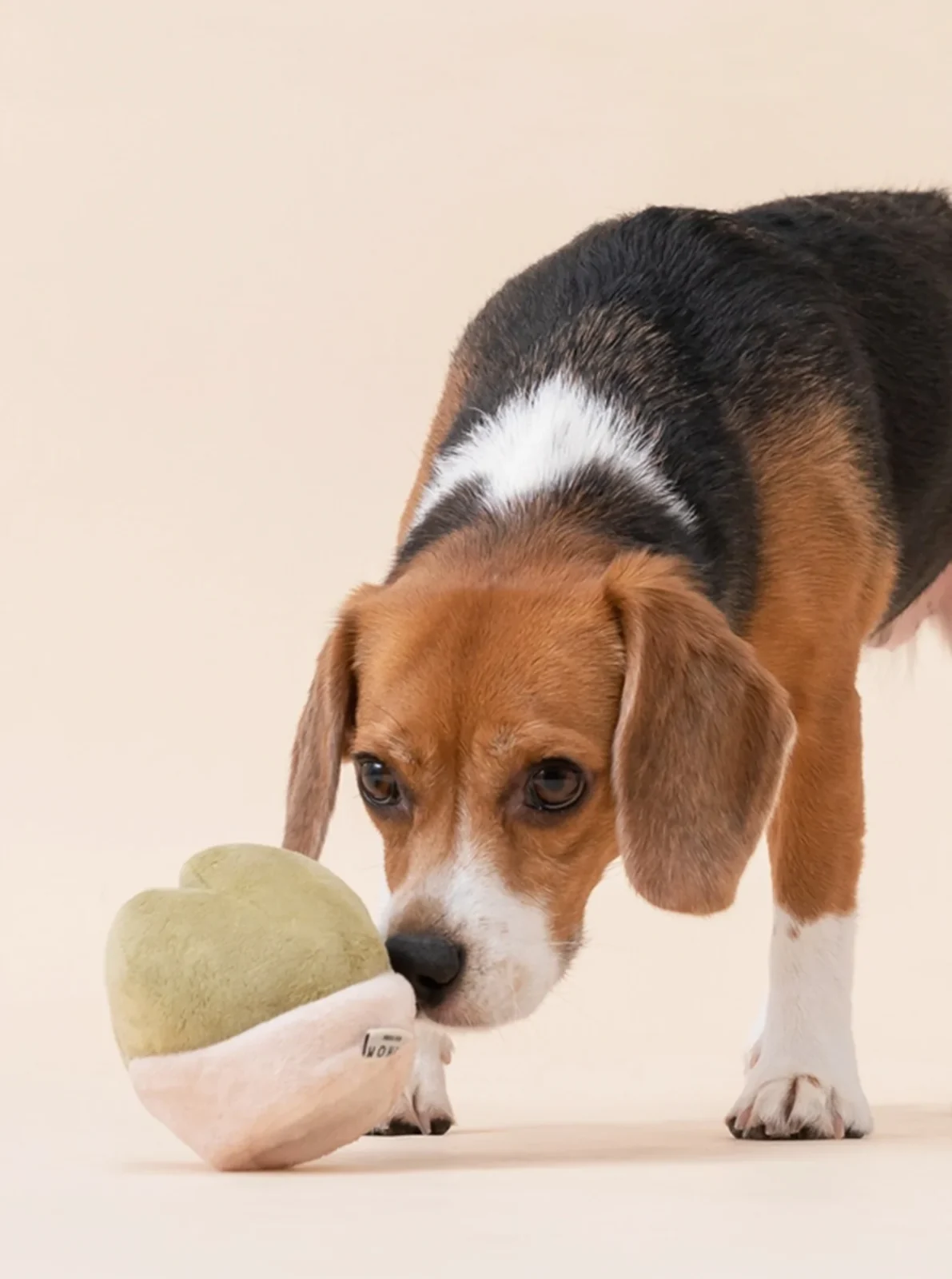 PLUSH ARTICHOKE DOG TOY - Image 2
