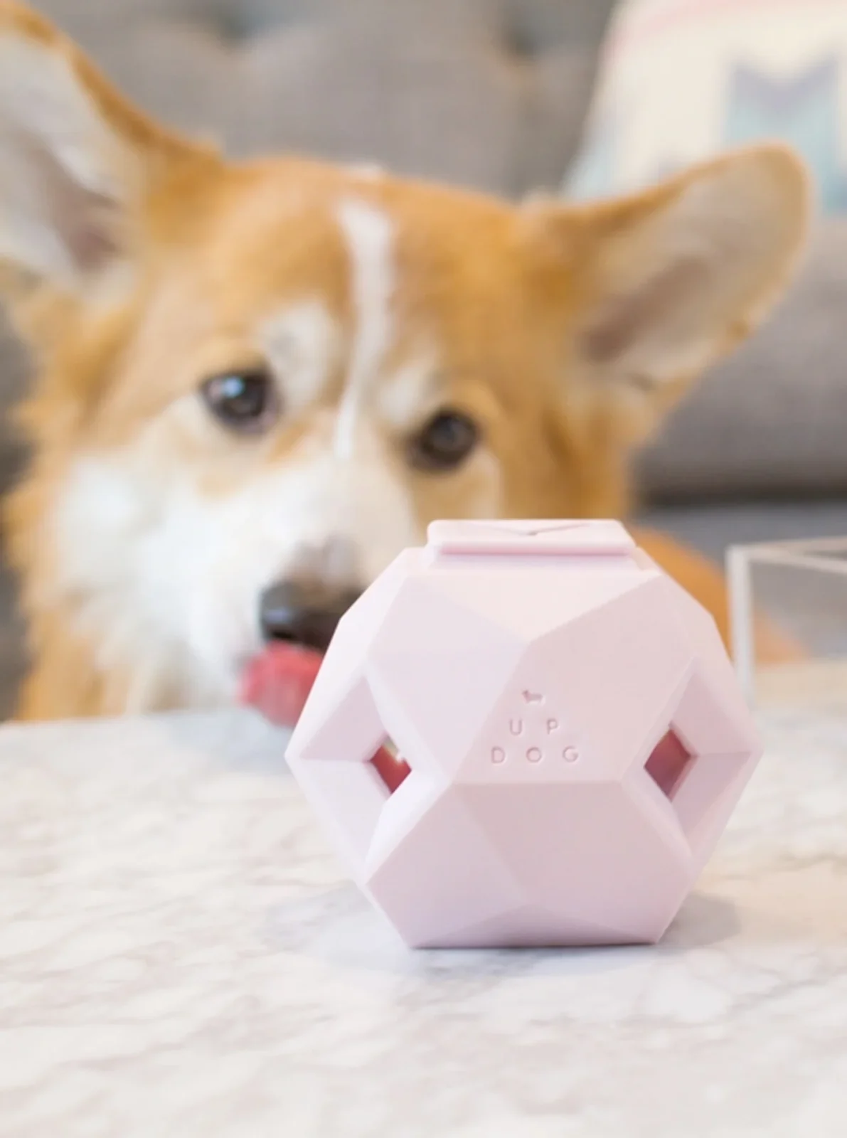 ODIN TREAT INTERACTIVE DOG TOY - Image 2