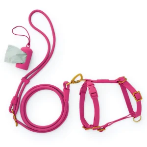 Active Everyday Harness Walk Set (XS/S), Dahlia