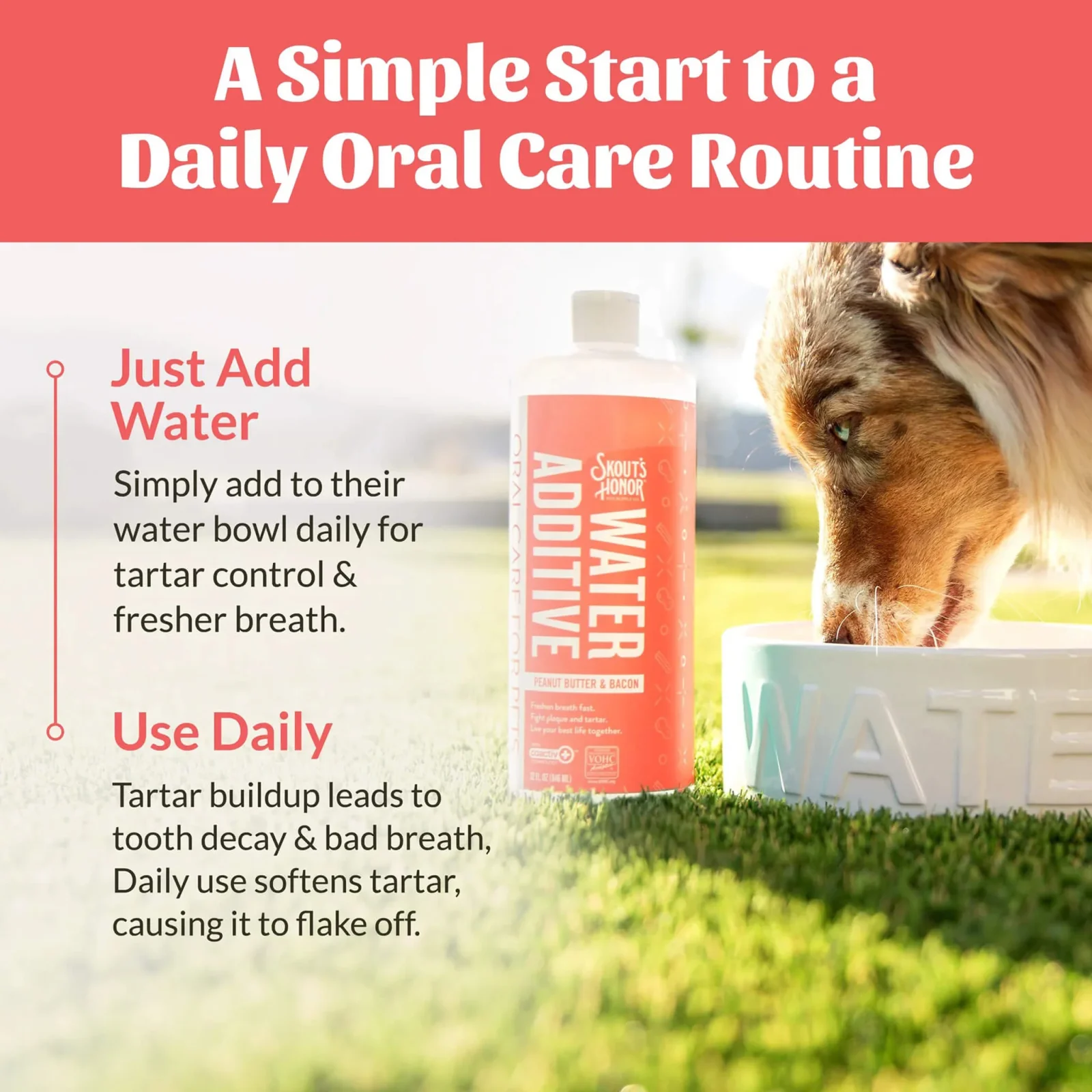 Skout's Honor Flavored Oral Care Water Additive for Dogs & Cats - Image 2