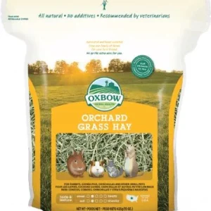 Oxbow Orchard Grass Small Animal Hay - 15 oz Bag