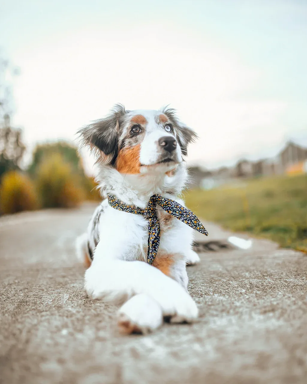 ADVENTURE NECKTIE - Image 2