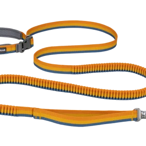 Roamer™ Bungee Dog Leash