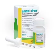 Amoxicillin Drops