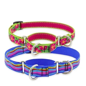 Original Designs Martingale Training Collar for Training