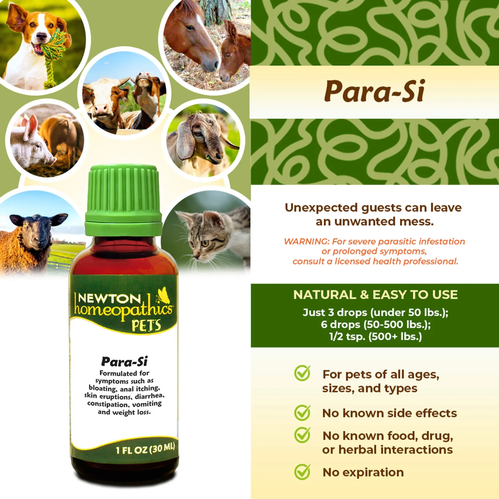 Newton Homeopathics Parasites - Image 2