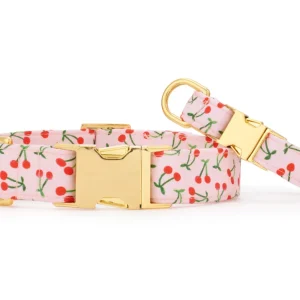 Cherry Jubilee Dog Collar