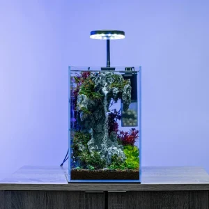 Aqua Worx Sand Waterfall Tank - Equipment Replacement