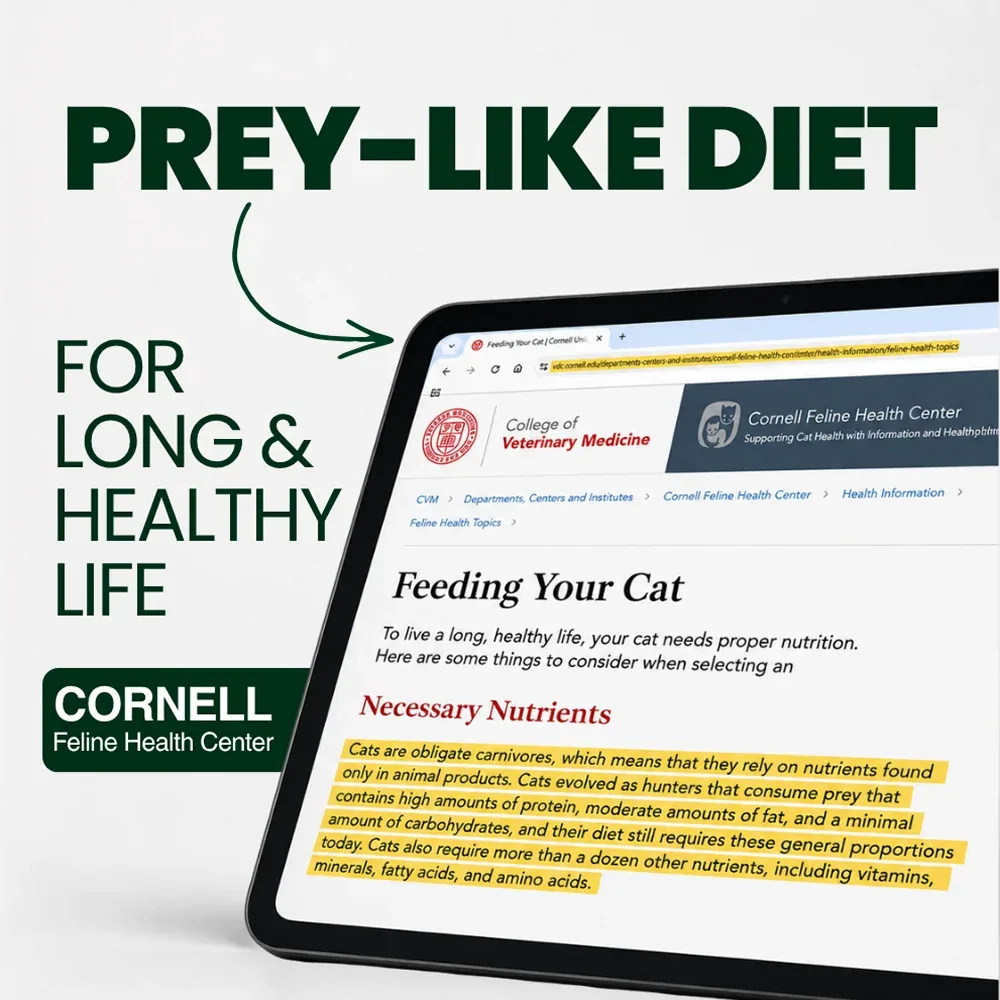 TrueHunt Chicken & Tuna Shreds in Broth Healthy Real Meat Cat Wet Food - Image 2