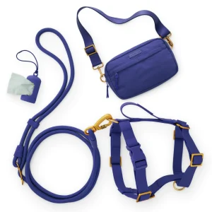Active Adventure Harness Walk Set - With Handle (M/L), Azure