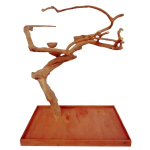 Single Java Tree (48"x28"x66")