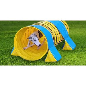 Clean Run 60 Things To Do with a Short (or Long) Tunnel in Your Backyard