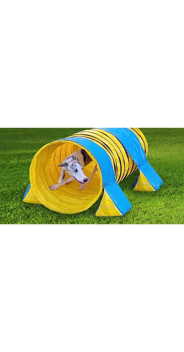 Clean Run 60 Things To Do with a Short (or Long) Tunnel in Your Backyard