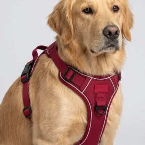 Skatrs Fully Padded Reflective Harness for Dogs & Cats (Maroon)