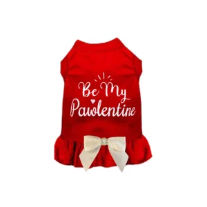 Be My Pawlentine Dog Dress and Shirt