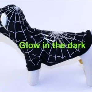 Black Spider Dog Costume Glow in the Dark