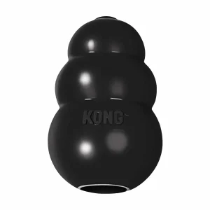 KONG Extreme Dog Chew Toy