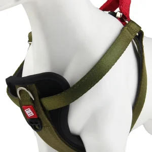 GiGwi Premium Line Harness for Dogs (Green)