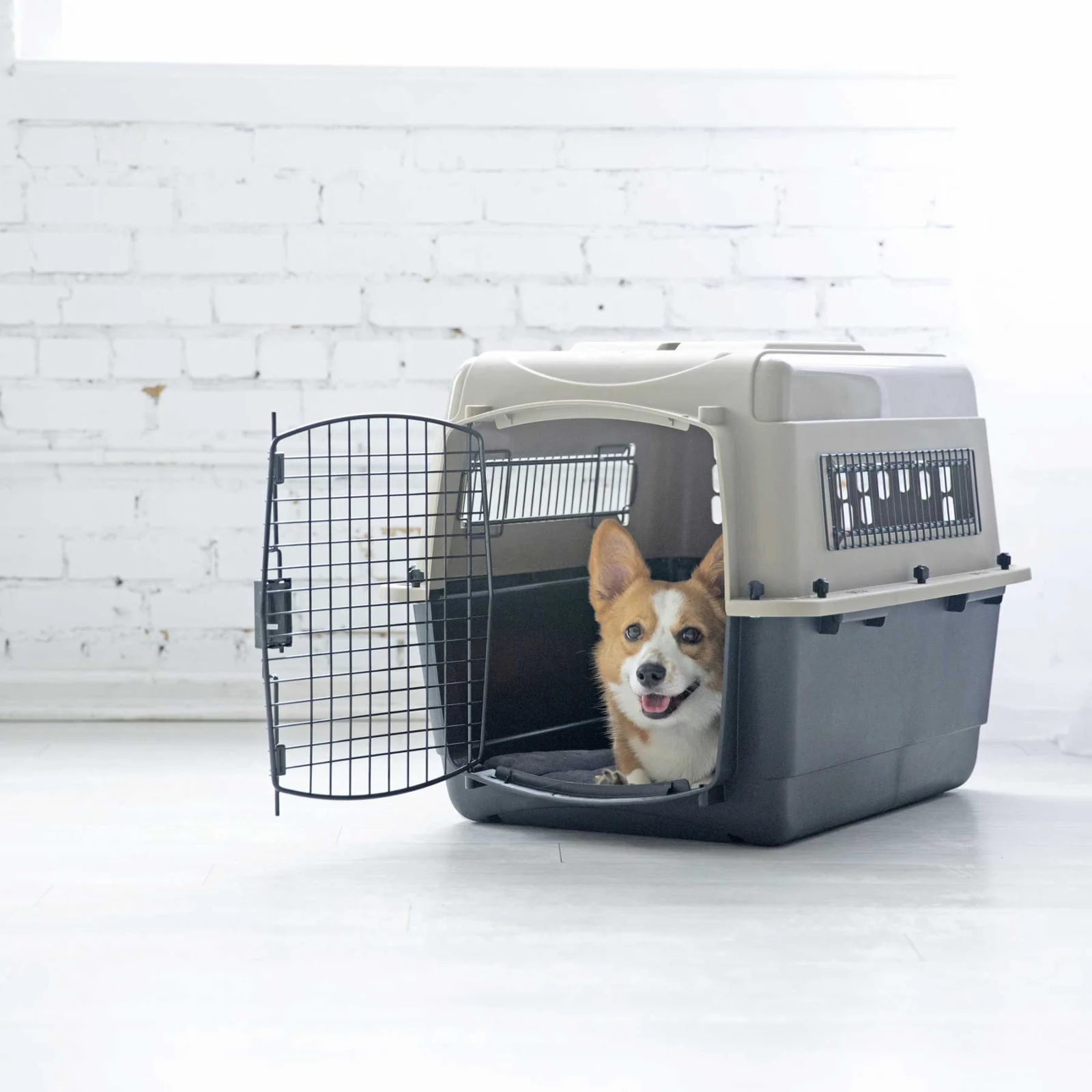 Petmate Traveler - Ultra Vari Kennel - Image 2